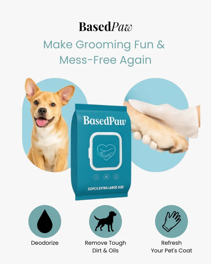 Pet Cleaning Gloves